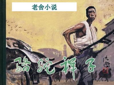 菠萝福建导航